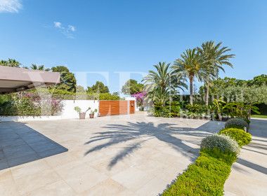 BONAVISTA ELCHE -101