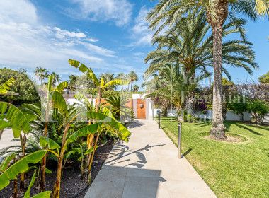 BONAVISTA ELCHE -102