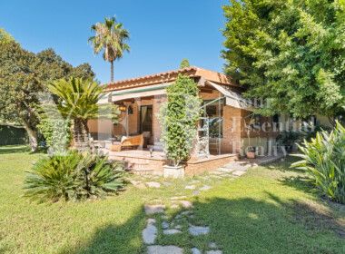 32-AGUILAS-