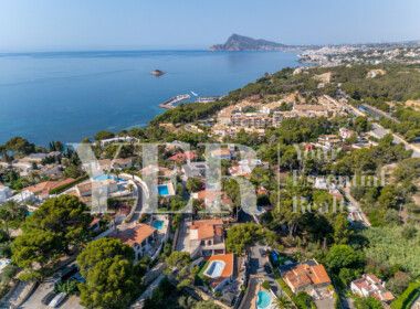 1 ALTEA