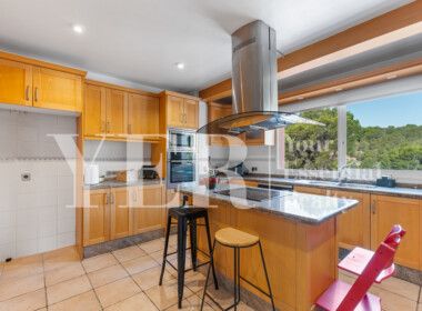 17 ALTEA-102