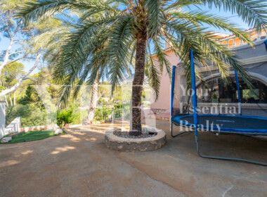 42 ALTEA-115