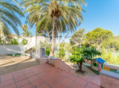 46 ALTEA-113