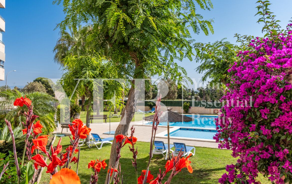 Piso en venta en Avenida de les Nacions PAU 5 Alicante