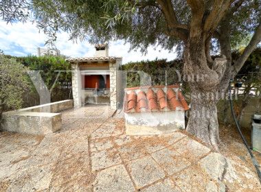 TABARCA 19-78